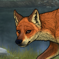 Little fox Headshot