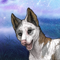 Ella (Piebald: Torn) Headshot