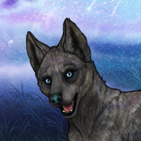 Xeada-Tryptophan3 Headshot