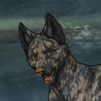 SlatePelt Headshot