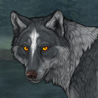 Wolf Headshot