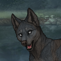 Nightpup Headshot