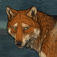 Foxpelt Headshot