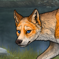 Selene Yellow fox Hunter Headshot