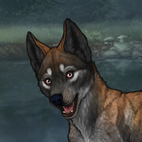 ((Pup))Sell Headshot