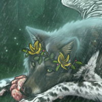 Wolf Headshot