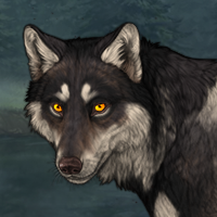 Wolf Headshot