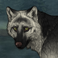 Wolf Headshot