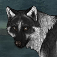 Wolf Headshot