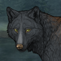 Wolf Headshot