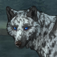 BlueSpotted Headshot