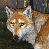 Wolf Headshot