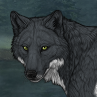 Wolf Headshot