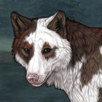 maybe piebald Headshot