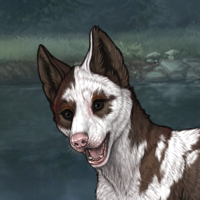 maybe piebald Headshot