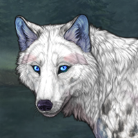 Canvas Winterwolf Headshot
