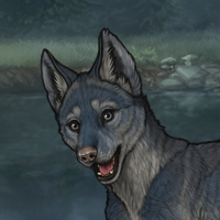 Nightingale Headshot