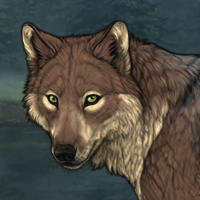 Wolf Headshot