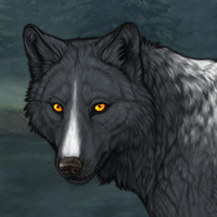 Wolf Headshot