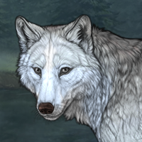 Wolf Headshot