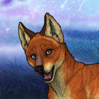 Female fox Headshot