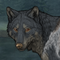 Wolf Headshot