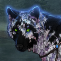 Wolf Headshot