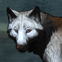 Wolf Headshot