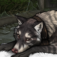 Wolf Headshot