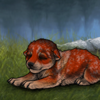 New Puppy Headshot