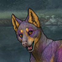 Lakepup Headshot