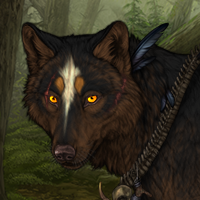 Wolf Headshot