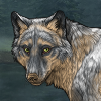 Wolf Headshot