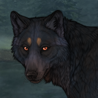 Red orca blueschist Headshot