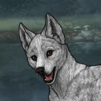 Ashen Puppy Headshot