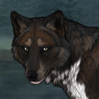 Saraia (STR) Headshot