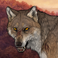 Wolf Headshot