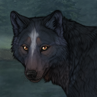 Blueschist Headshot