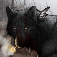 Wolf Headshot