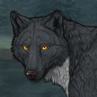 Wolf Headshot