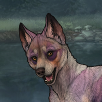 Enclave Pup Headshot