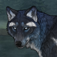 Wolf Headshot