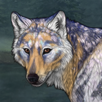 Sandstone Headshot