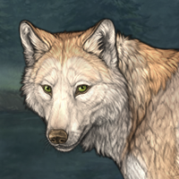 Wolf Headshot