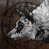 Wolf Headshot