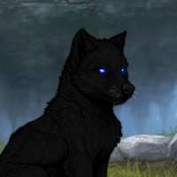 Melanism Pup Headshot