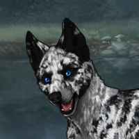 Melanism carrier | Male Headshot