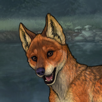 Fox T3 Headshot