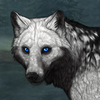 Wolf Headshot