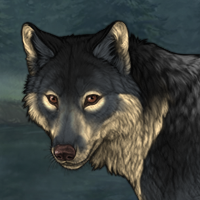 Wolf Headshot